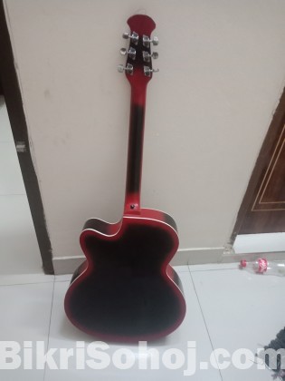 Signature er orginal guitar